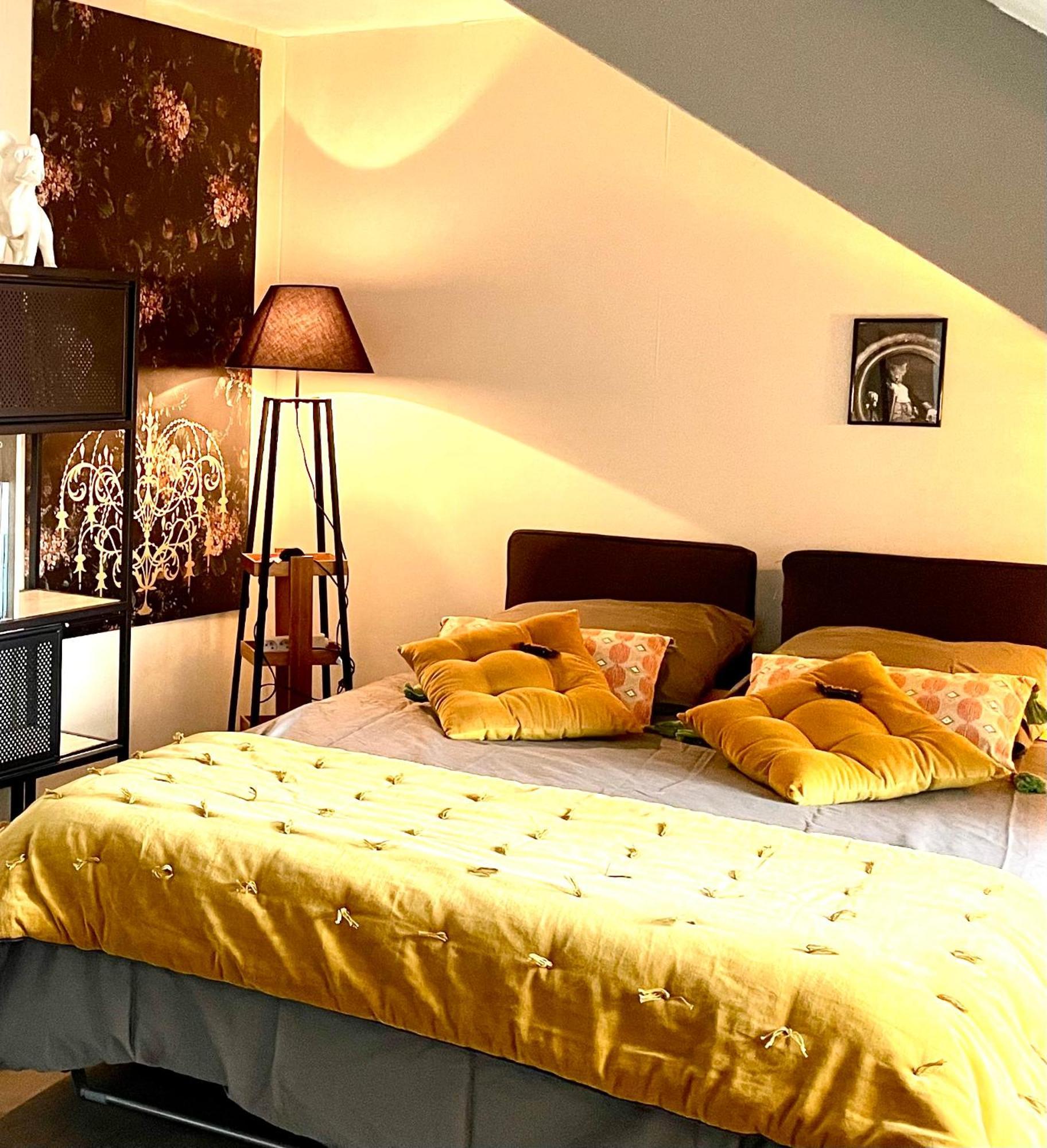 Studio Douillet Centre Vitre -Tout A Pied Ngoại thất bức ảnh